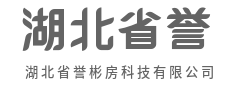 智启未来,让复杂世界一键归简-湖北省誉彬房科技有限公司